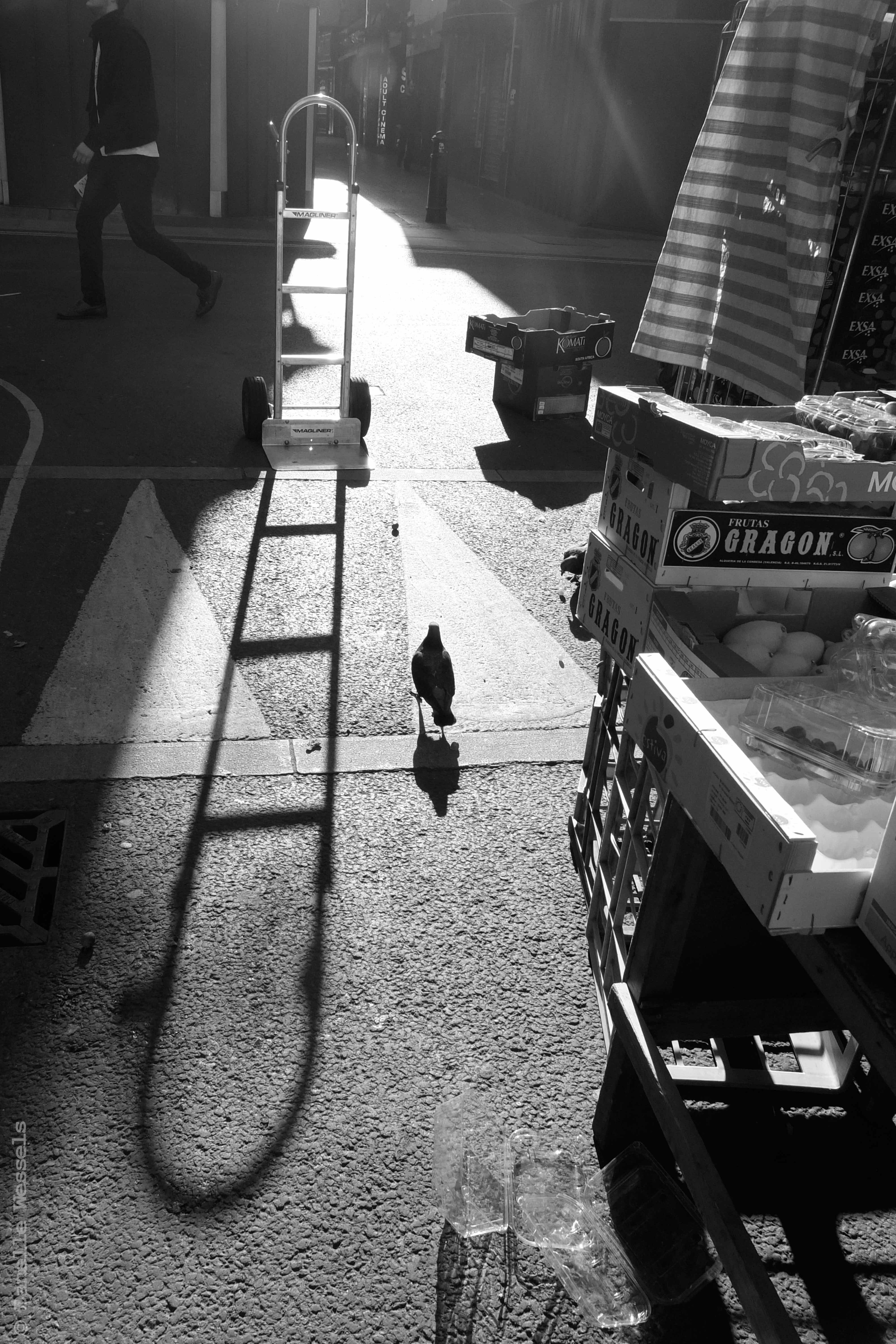 Shadow of market