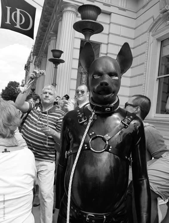Pride 2013, gimp, IOD